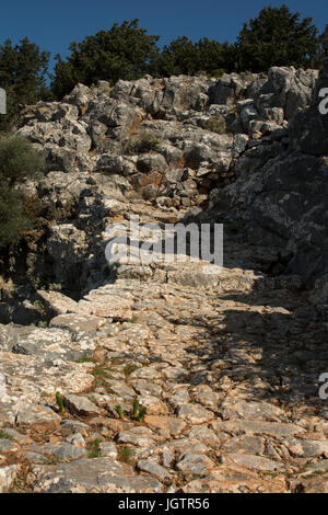 Vielleicht ebnete ein tausend Jahr alt Kalderimi oder Kopfsteinpflaster Straßen für Mulis der Hauptverkehr System auf Kreta in früheren Zeiten waren. Heute Kalderimi l Stockfoto