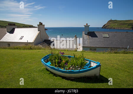 Alte Boote voller Blumen mit Blick auf Gebäude und die Bucht bei Port Erin auf der Isle of Man. Stockfoto