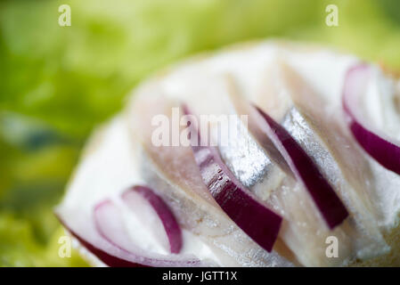 gesunde kleine Open-Sandwich mit Hering und Onionselective Fokus Makro Stockfoto