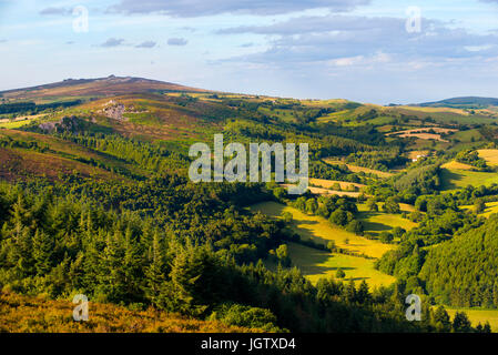 Ein Blick auf die Shropshire-Landschaft im Sommer von Heath Mynd, mit Stiperstones am Horizont gesehen. Stockfoto