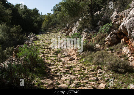 Vielleicht ebnete ein tausend Jahr alt Kalderimi oder Kopfsteinpflaster Straßen für Mulis der Hauptverkehr System auf Kreta in früheren Zeiten waren. Stockfoto