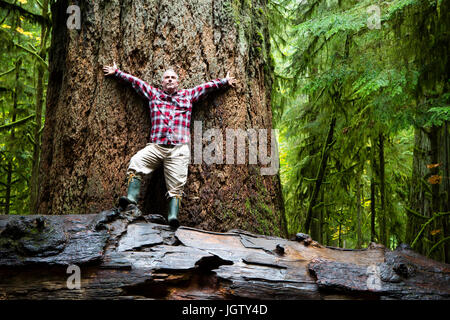 MacMillan Provincial ist Park eine Provinz in der Nähe von Port Alberni auf Vancouver Island in British Columbia, Kanada. Stockfoto