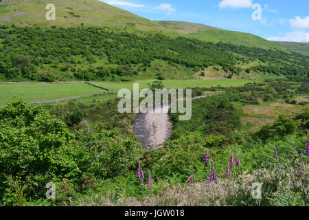 College-Tal im Sommer Stockfoto