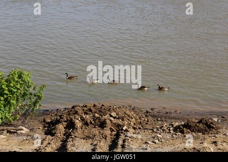 Ein Tag in Covington, Kentucky durch den Ohio River und an einem See auf dem Weg nach Hause. Stockfoto