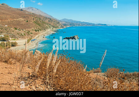 Ansicht von Preveli Strand umgeben von Bergen gegen klar blauen Himmel mit Urginea Maritima Blumen im Vordergrund, Kreta, Griechenland Stockfoto