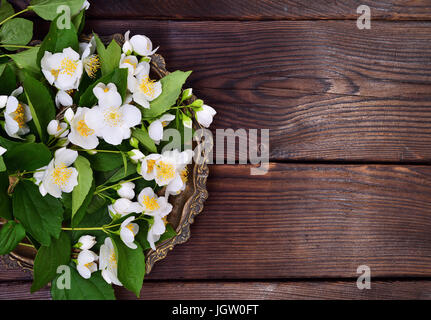 Blühende Zweige von Jasmin mit weißen Blüten in eine Kupferplatte, leeren Raum auf der rechten Seite Stockfoto