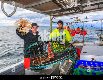 Kommerziellen Fischerboot Nordic Rand aus Vancouver Island, BC, Kanada, Angeln für Garnelen (wie Garnelen aber größer). Nicht alles in der Falle ist ein pra Stockfoto