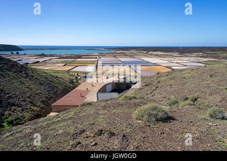 Salinas de Janubio, Meersalz Saline an der Südwestküste der Insel Lanzarote, Kanarische Inseln, Spanien, Europa Stockfoto