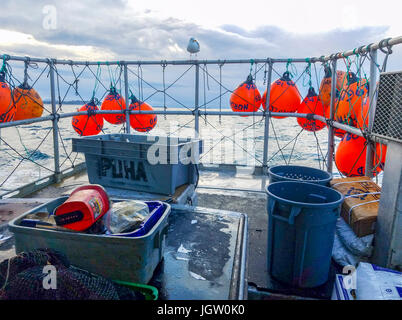 Kommerziellen Fischerboot Nordic Rand aus Vancouver Island, BC, Kanada, Angeln für Garnelen (wie Garnelen aber größer). Zurück Deck Speicherort fallen wh Stockfoto