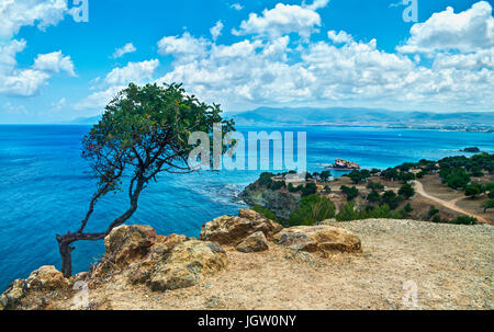 Blick auf einsamen Baum und Meer auf Akamas-Halbinsel, Zypern Stockfoto