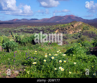 Vulkanische Landschaft zwischen Yaiza und Uga, hinter der Feuerberge Montanas del Fuego, Nationalpark Timanfaya auf Lanzarote, Kanarische Inseln, Europa Stockfoto