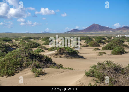 Sandduenen am Playa de San Juan, La Caleta de Famara, Lanzarote, Kanarische Inseln, Europa | Sanddünen am Playa de San Juan, La Caleta de Famara, Lan Stockfoto