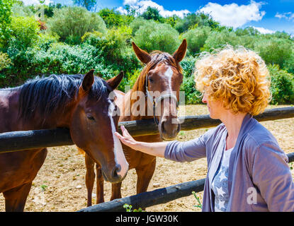 Pferde und eine Frau auf einem Bauernhof. Stockfoto