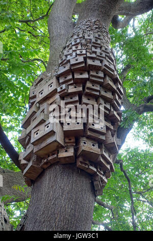 "Baum des Himmels" Vogel-Boxen Installation durch spontane Stadt in Islington, London Stockfoto