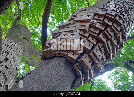 "Baum des Himmels" Vogel-Boxen Installation durch spontane Stadt in Islington, London Stockfoto