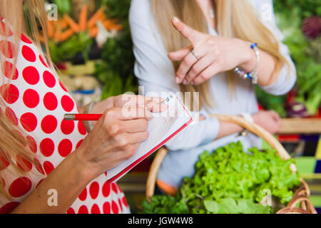 Junge Frau überprüfen kauft Liste. Mädchen mit einem Notebook in Händen. Einkaufsliste in der hand. Stockfoto