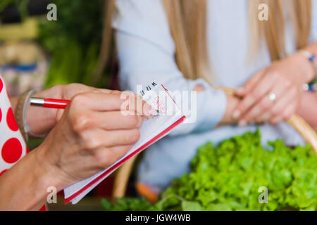 Junge Frau überprüfen kauft Liste. Mädchen mit einem Notebook in Händen. Einkaufsliste in der hand. Stockfoto