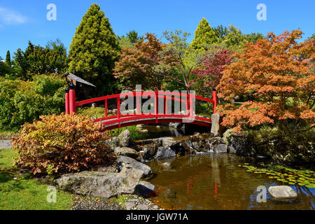 Japanischer Garten in die Royal Tasmanian Botanical Gardens in Hobart, Tasmanien, Australien Stockfoto