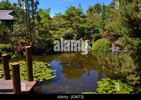 Japanischer Garten in die Royal Tasmanian Botanical Gardens in Hobart, Tasmanien, Australien Stockfoto