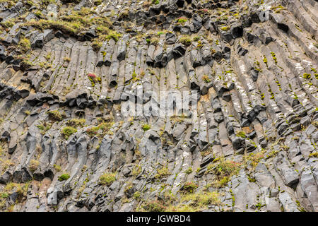 Basalt-Säulen-Struktur Stockfoto