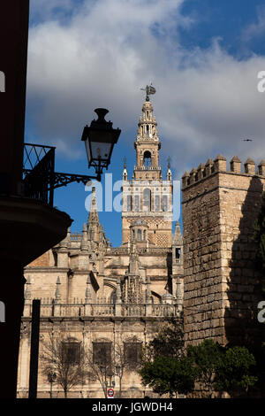 Turm der Giralda und der Kathedrale von Sevilla (Catedral de Sevilla) in Sevilla, Andalusien, Spanien. Stockfoto