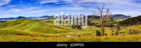 Breites Panorama der australischen ländlichen landwirtschaftlicher Flächen für das Wachstum von Rindern mit Bauernhof, Zäune, Wasser Gruben und Hügel erstreckt sich in Cobark - Barrington Tops sind Stockfoto