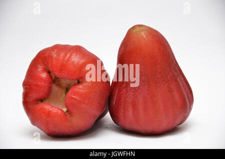 Asiatische Früchte Rose Äpfel isoliert auf weißem Hintergrund. Stockfoto