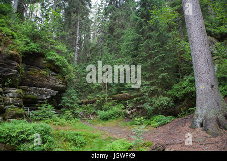 Adršpach-Teplice Felsen, Adršpach, Tschechien Stockfoto