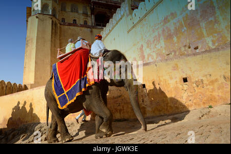 Elefanten und Mahouts die Touristen bis zum Fort Amber Stockfoto