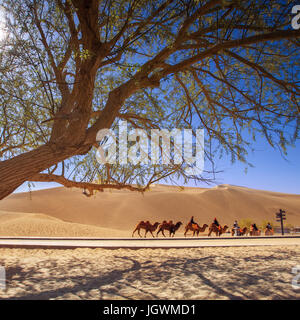 Wüste Dunhuang, Gansu Stockfoto
