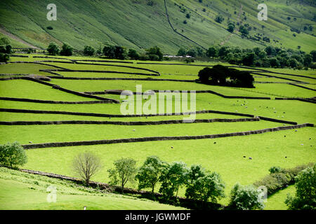 Blick vom unteren Hängen des Kirk umgefallen Wasdale Head Weiden, Lake District, England, UK Stockfoto