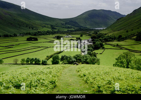 Blick vom unteren Hängen des Kirk umgefallen Wasdale Head Weiden, Lake District, England, UK Stockfoto