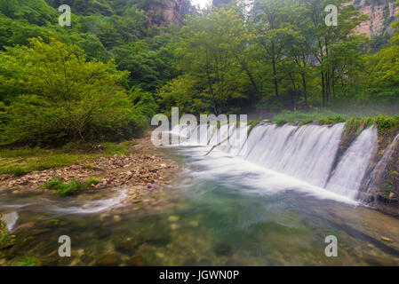 Wasserfall im goldenen Peitsche Stream in Zhangjiajie National Forest Park, Hunan, China. Stockfoto