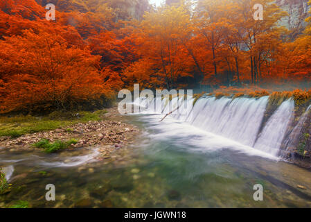 Wasserfall im goldenen Peitsche Stream in Zhangjiajie National Forest Park, Hunan, China. Stockfoto