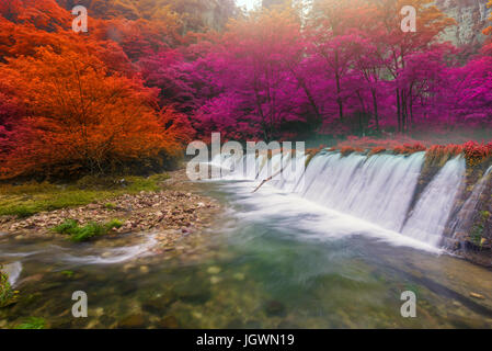 Wasserfall im goldenen Peitsche Stream in Zhangjiajie National Forest Park, Hunan, China. Stockfoto