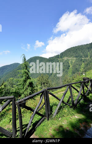 Himalaya-Gebirge mit Zeder und Pinienwald Stockfoto