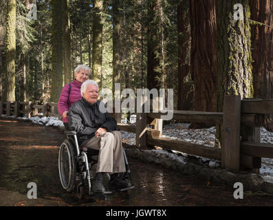Ältere Frau schob Mann im Rollstuhl durch Wald im Sequoia Nationalpark, Kalifornien, USA Stockfoto