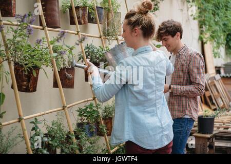 Junger Mann und Frau tendenziell Pflanzen wachsen in Dosen, junge Frau, die Bewässerung von Pflanzen mit der Gießkanne Stockfoto