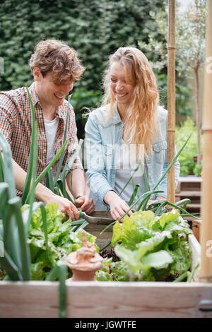 Junger Mann und Frau tendenziell Pflanzen in Holztrögen Stockfoto