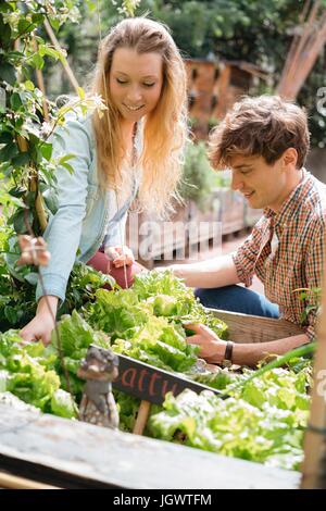 Junger Mann und Frau tendenziell Pflanzen in Holztrögen Stockfoto