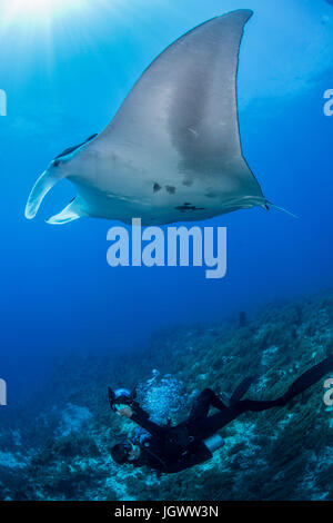 Scuba Diver fotografieren riesigen Manta, Cancun, Mexiko Stockfoto