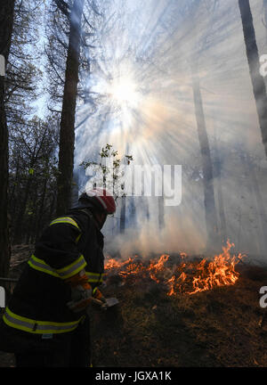 Naples große Feuer in der Vesuv-Nationalpark Stockfoto