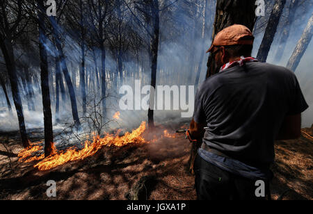 Naples große Feuer in der Vesuv-Nationalpark Stockfoto