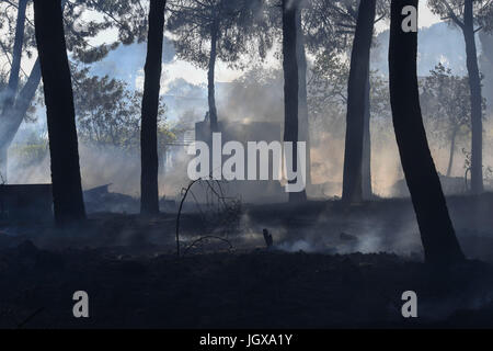 Naples große Feuer in der Vesuv-Nationalpark Stockfoto