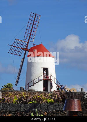 Gofio-Muehles Im Kaktusgarten (Jardin de Cactus) Guatiza, Lanzarote, Kanarische Inseln, Europa | Gofio-Mühle, Jardin de Cactus, Guatiza, Lanzarote, kann Stockfoto