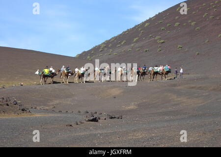 Touristen mit dromedaren, einhoeckriges Kamel (camelus dromedarius) im Nationalpark Timanfaya, Lanzarote, Kanarische Inseln, Europa | Touristen auf Drom Stockfoto