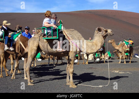Touristen mit dromedaren, einhoeckriges Kamel (camelus dromedarius) im Nationalpark Timanfaya, Lanzarote, Kanarische Inseln, Europa | Touristen auf Drom Stockfoto