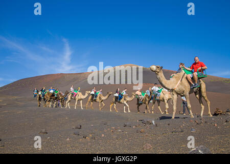 Touristen mit dromedaren, einhoeckriges Kamel (camelus dromedarius) im Nationalpark Timanfaya, Lanzarote, Kanarische Inseln, Europa | Touristen auf Drom Stockfoto