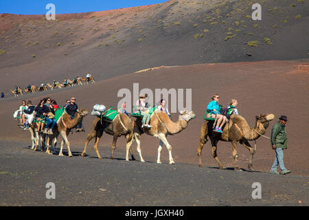 Touristen mit dromedaren, einhoeckriges Kamel (camelus dromedarius) auf den Feuerbergen, Montanas del Fuego, Nationalpark Timanfaya auf Lanzarote, kanari Stockfoto