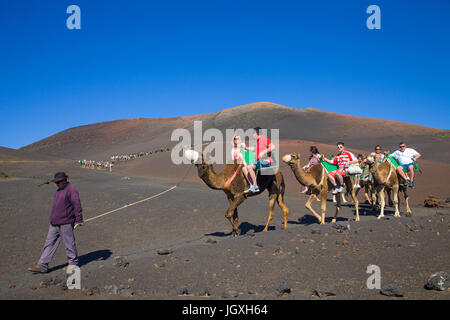 Touristen mit dromedaren, einhoeckriges Kamel (camelus dromedarius) auf den Feuerbergen, Montanas del Fuego, Nationalpark Timanfaya auf Lanzarote, kanari Stockfoto